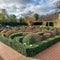 Box  and privet hedge garden