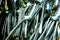 Box of shining spoons, Abstract background of sparkling iron spoons, kitchen equipment