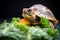 box turtle feasting on a spinach leaf in a terrarium