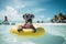 Boxer Bonanza: A Fun Stock Photo of a Dog in Sunglasses on a Beach Float - Generative AI