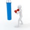 Boxer boxing with punching bag