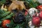 Boxer Breed Dog Christmas Portrait