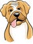 Boxer dog cartoon