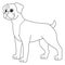 Boxer Dog Coloring Page for Kids