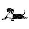 Boxer dog - Lying dog vector stock isolated illustration on white background.
