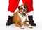 Boxer Dog with Santa