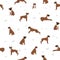 Boxer dog seamless pattern. Different poses, puppy