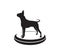 boxer dog star championship competition vector icon logo design