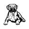 Boxer dog - vector isolated illustration on white background