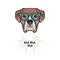 Boxer dog wearing in glasses. Boxer geek. Vector illustration.