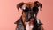 Boxer Dog Wearing A Leather Jacket And Sunglasses On Pink Background. Generative AI