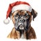 Boxer Dog Wearing a Santa Hat