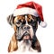 Boxer Dog Wearing a Santa Hat