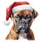 Boxer Dog Wearing a Santa Hat