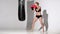 Boxer girl makes blows a punching bag with all passion