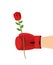 Boxer glove and rose. Give flower on 8t of March. Gift woman