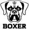 Boxer head black and white