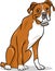 Boxer purebred dog cartoon illustration