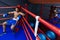 Boxer resting in boxing ring