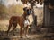 The Boxer\\\'s Stance in a Rustic Setting