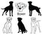 Boxer set. Collection of pedigree dogs. Black white illustration of a boxer dog. Vector drawing of a pet. Tattoo.