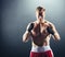 Boxer standing in fighting position.