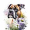 Boxer watercolor clipart on white background