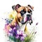 Boxer watercolor clipart on white background