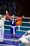 Boxer wears flag after winning gold