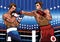 boxers in action. Vector illustration decorative design