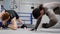 Boxers fighters trainings sport workout indoor gym