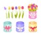 Boxes and Tulips Collection Vector Illustration
