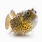 boxfish isolated on white close-up, funny