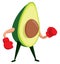 Boxing avocado ready to fight