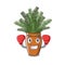 Boxing boston fern grows in mascot pot