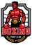 Boxing championship badge