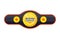 Boxing championship belt