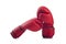 Boxing concept with protective red gloves