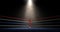 Boxing Corner Spotlit Dark