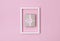 Boxing day template. Gift box in frame on pastel pink background