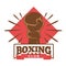 Boxing five-star club emblem with hand in glove