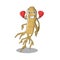 Boxing ginseng isolated with in the cartoon