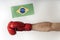 Boxing glove with Brazilian flag. Boxer holds flag of Brazil. White background