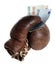 Boxing glove with european banknotes