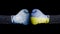 Boxing gloves with European Union and Ukraine flag. European Union versus Ukraine concept.