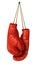 Boxing Gloves Hanging