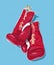 Boxing gloves illustration