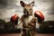 A boxing kangoroo with red boxing gloves