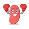 Boxing kidney character cartoon style