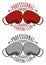 Boxing logo